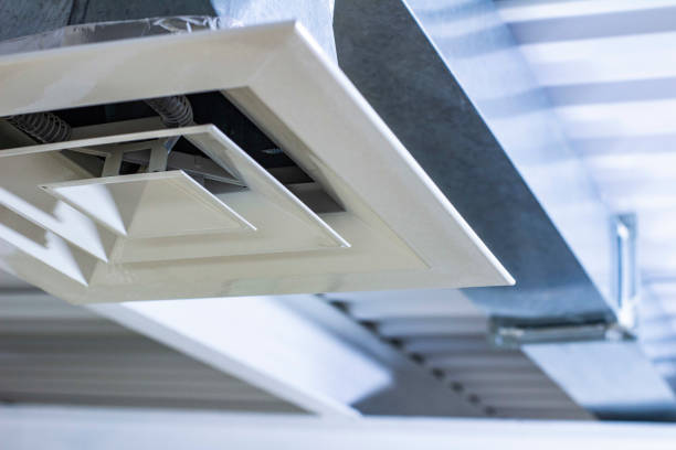 Best Affordable Duct Cleaning Services  in Wauchula, FL