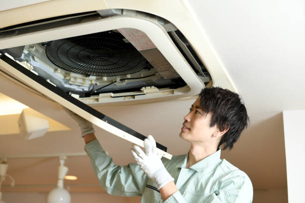 Best Affordable Air Duct Cleaning  in Wauchula, FL